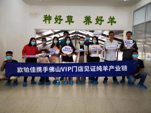 7月歐鉑佳開啟產(chǎn)業(yè)鏈見證之旅，體驗式營銷引領(lǐng)純羊市場