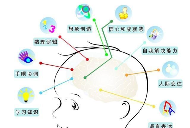 哈佛大學:兒童大腦發(fā)育的高峰期只有三次，家長抓對一次就夠了