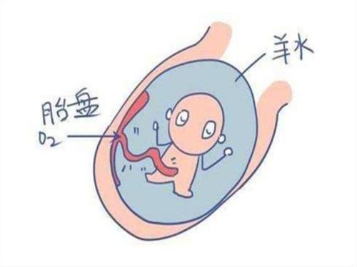 胎兒在媽媽肚子里的時候，羊水會不會進(jìn)耳朵里？