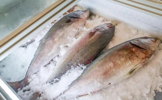 魚肉雖有營養(yǎng)，但家長千萬不要給孩子吃這幾類魚