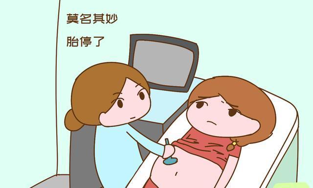 孕早期胎停育不是沒有任何征兆，提前發(fā)現(xiàn)，才能早應(yīng)對